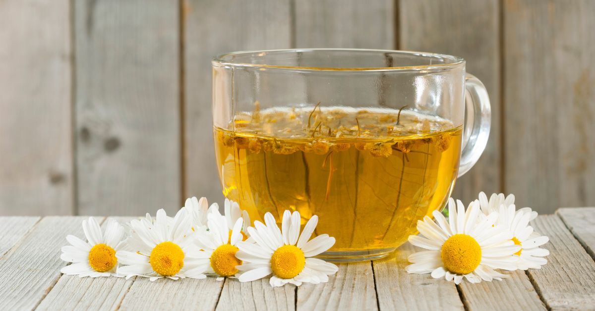 7-amazing-healthy-benefits-of-chamomile-tea-paris-uk-award-winning