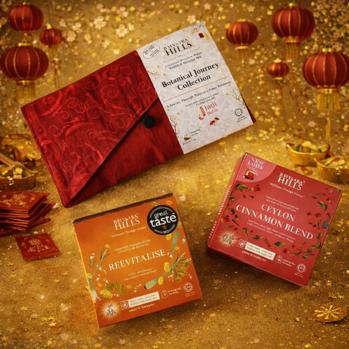 Chinese New Year 2026 Money Pouch Set A